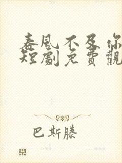 春风不及你情深短剧免费观看全集