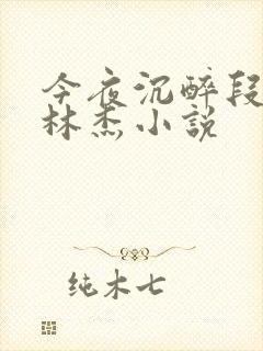 今夜沉醉段雪娇林杰小说