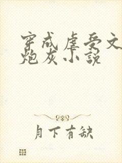 穿成虐受文里的炮灰小说