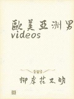 欧美亚洲男同志videos