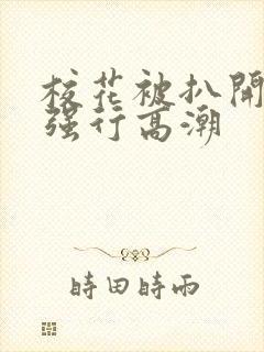 校花被扒开双腿强行高潮