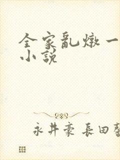 全家乱炖一锅烩小说