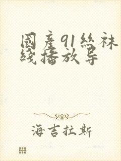 国产91丝袜在线播放导