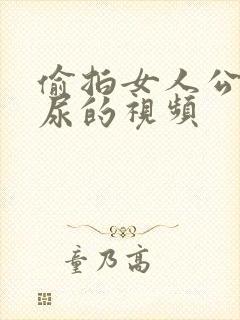 偷拍女人公厕尿尿的视频