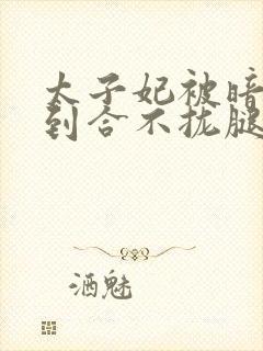 太子妃被暗卫C到合不拢腿