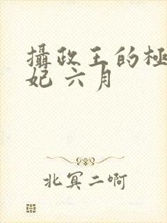 摄政王的极品医妃 六月