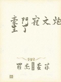 豪门宠文炮灰重生了