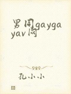 男同gaygayav网