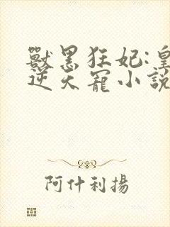 兽黑狂妃:皇叔逆天宠小说封面