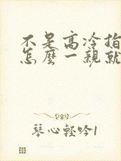 不是高冷指挥官怎么一亲就哭