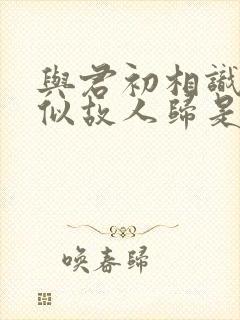 与君初相识和恰似故人归是一部剧吗封面