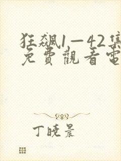 狂飙1—42集免费观看电视剧