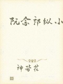 阮念祁纵小说封面