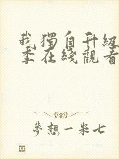 我独自升级第二季在线观看樱花动漫封面