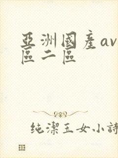 亚洲国产av一区二区