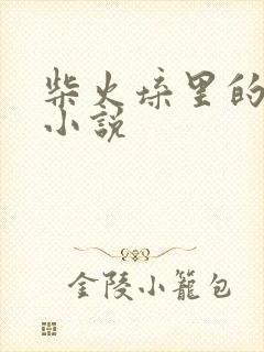 柴火垛里的疯狂小说封面