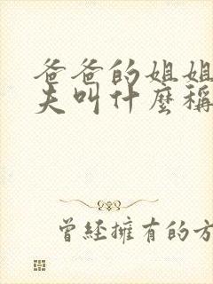 爸爸的姐姐的丈夫叫什么称呼