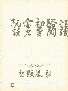 阮念初骆淮景小说免费阅读