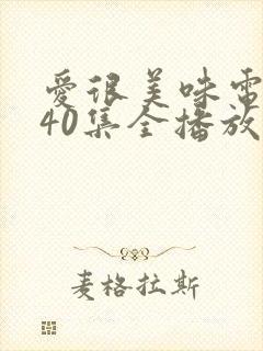 爱很美味电视剧40集全播放