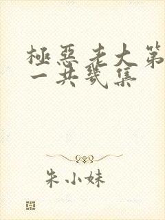 极恶老大第二季一共几集