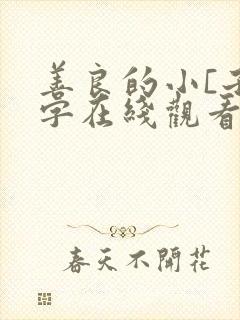 善良的小[子中字在线观看封面