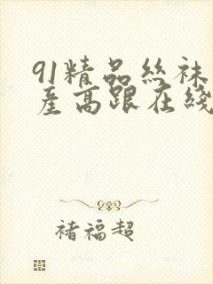 91精品丝袜国产高跟在线