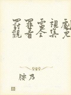 罚罪电视剧在线观看全集免费高清