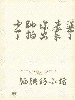 少帅你老婆又跑了拍出来了吗封面