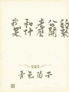 我和老公的姐姐是什么关系封面