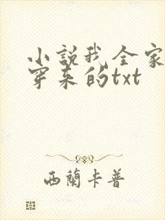 小说我全家都是穿来的txt封面