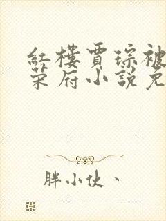 红楼贾琮被逐出荣府小说免费阅读封面