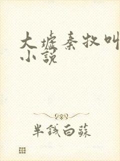 大墟秦牧叫什么小说