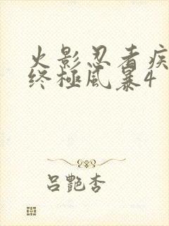 火影忍者疾风传终极风暴4