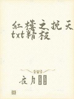红楼之挽天倾无txt精校