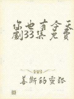 你也有今天电视剧33集免费观看