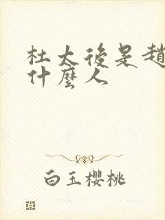 杜太后是赵匡胤什么人封面