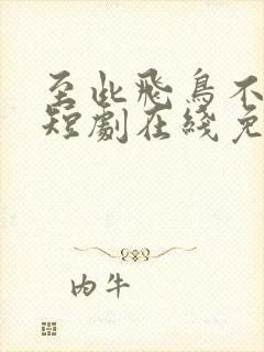 至此飞鸟不相逢短剧在线免费观看封面