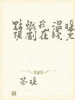 点燃我温暖你电视剧在线免费观看