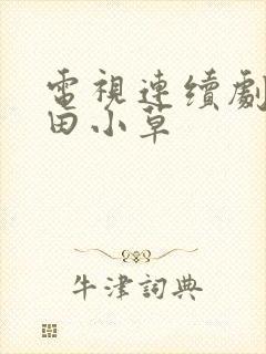 电视连续剧俺娘田小草