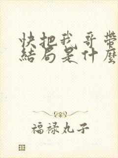 快把我哥带走大结局是什么封面