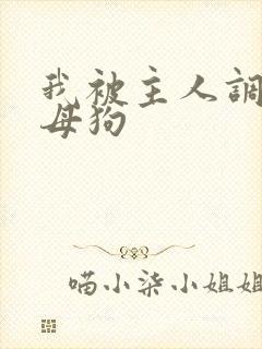 我被主人调教成母狗