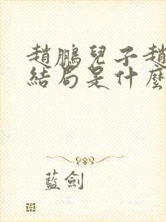 赵鹏儿子赵文轩结局是什么封面