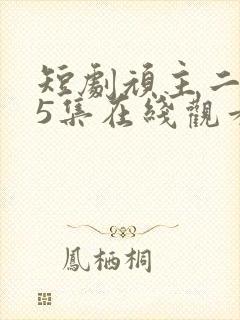 短剧顽主二虎35集在线观看免费