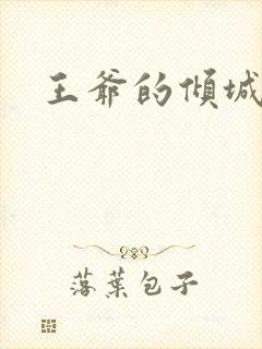 王爷的倾城弃妃