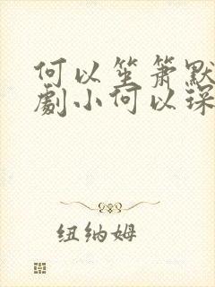 何以笙箫默电视剧小何以琛