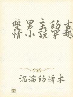 双男主的古代言情小说穿越封面