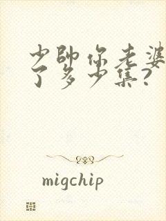 少帅你老婆又跑了多少集?