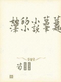 她的小草莓魏承泽小说笔趣阁封面