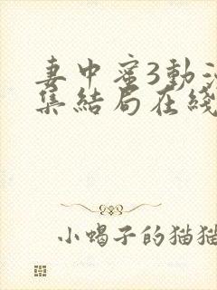 妻中蜜3动漫全集结局在线观看