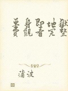 单身即地狱4免费观看完整版高清